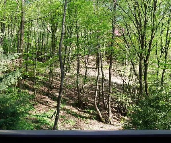 Dom wakacyjny Summer House Near *